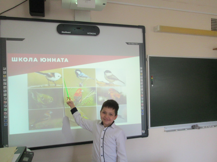 Эколята – молодые защитники природы.